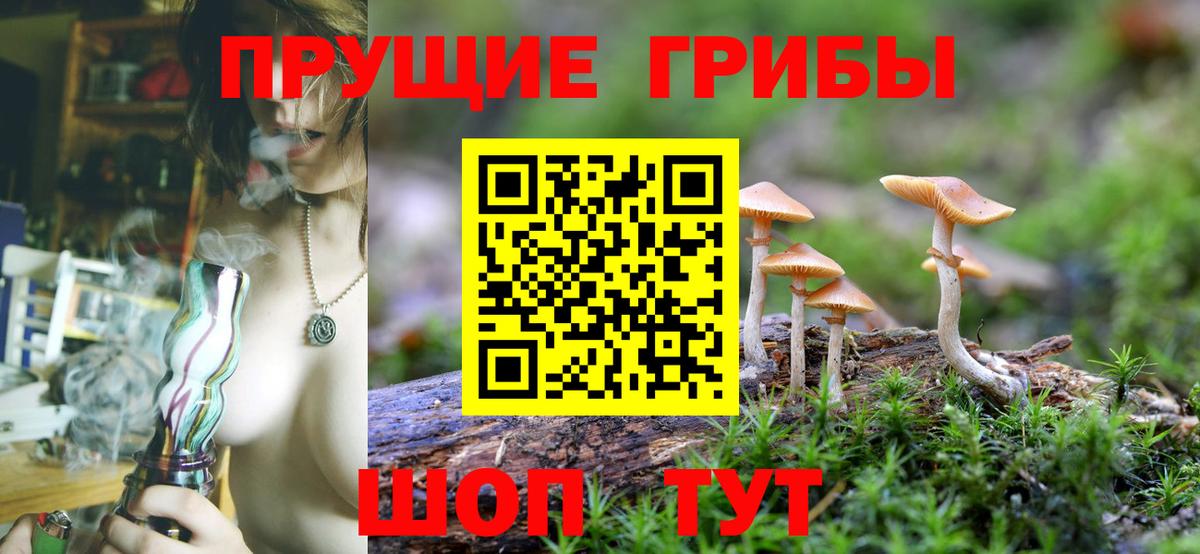 цены   Псилоцибиновые грибы Magic Shrooms  Вход с VPN  Севастополь 