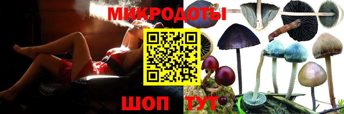 Галлюциногенные грибы Psilocybe Севастополь